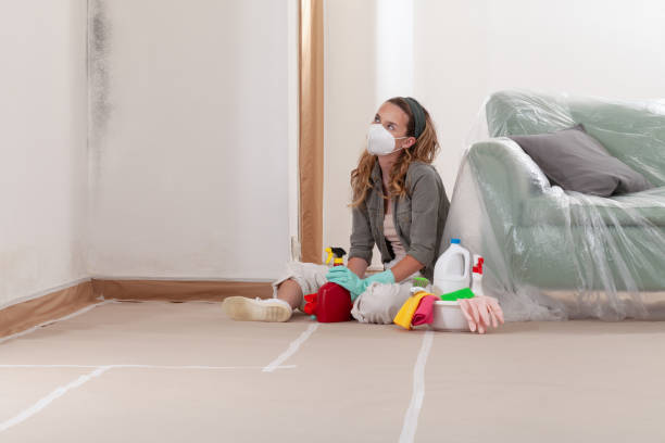 Reliable Mold Remediation contractor in Wayne, NJ by WQB Mold Removal